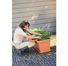 En kvinna skördar örter och grönsaker från en rektangulär, terrakottafärgad planteringslåda på en stenlagd uteplats.