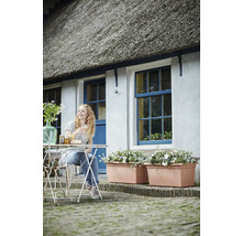 Trädgård framför ett hus med halmtak, vita väggar, blå fönsterkarmar, stora terrakottafärgade blomlådor och en kvinna vid ett bistrobord.