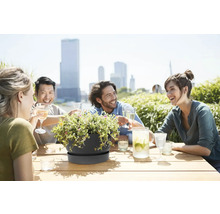 Mörkgrå planteringsskål med fat på träbord, i bakgrunden vänner på en solig takterrass med stadsvy.