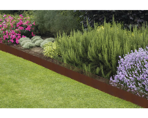Rabattkant av metall i rostlook med laserskuret mönster mellan gräsmatta och blomsterbed med lavendel.