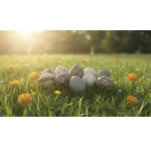 Dekorativa påskägg med olika mönster som blommor och prickar ligger i en solig äng med gräs och blommor.