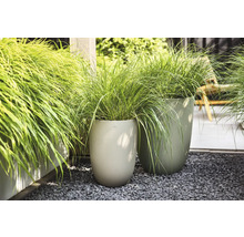 Två höga ytterkrukor med vågig struktur på grått grus, planterade med grönt prydnadsgräs i en trädgård.