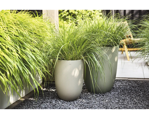 Två höga ytterkrukor med vågig struktur på grått grus, planterade med grönt prydnadsgräs i en trädgård.