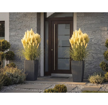 Två höga planteringskärl med flätad struktur och pampasgräs framför en modern entrédörr med stenvägg.