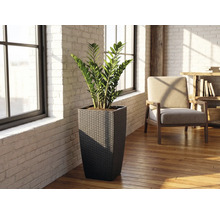 Hög kvadratisk flätad blomkruka med en garderobsblomma i ett ljust rum med vita tegelväggar och trägolv.