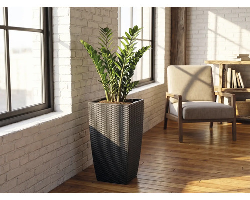 Hög kvadratisk flätad blomkruka med en garderobsblomma i ett ljust rum med vita tegelväggar och trägolv.