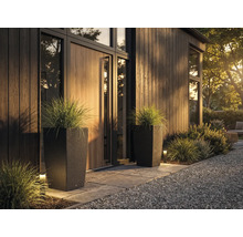 Två höga, mörka planteringskärl i rottinglook med prydnadsgräs vid en modern, organiserad entré med träpanel och stengång.