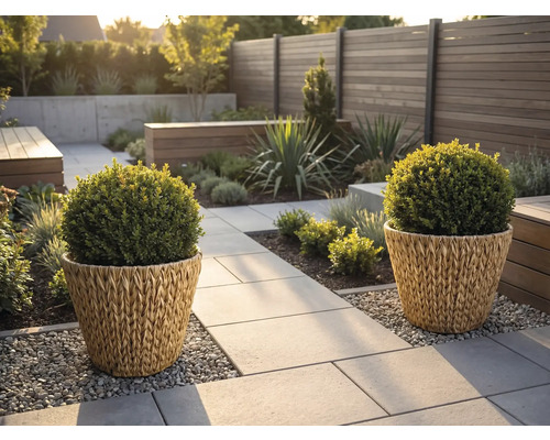 Modern trädgård med två flätade krukor med klotformade buskar på en stenstig bredvid ett trästaket och grusytor.