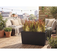 Modern takterrass med en stor svart blomlåda med prydnadsgräs, loungesoffa med kuddar och terrakottakrukor på ett trädäck.