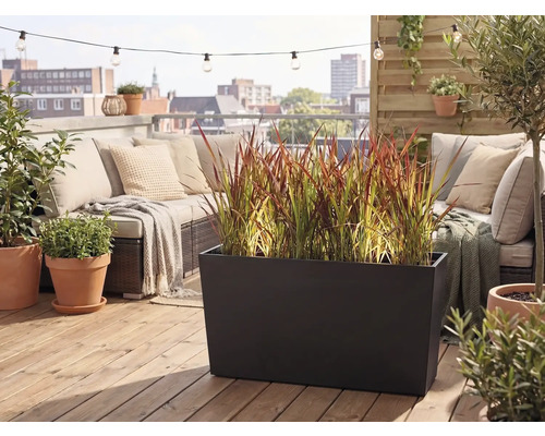 Modern takterrass med en stor svart blomlåda med prydnadsgräs, loungesoffa med kuddar och terrakottakrukor på ett trädäck.