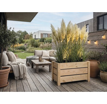 Modern träterrass med stor planteringslåda med pampasgräs, loungemöbler med kuddar, soffbord och stämningsfull utomhusbelysning.
