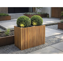 Rektangulär planteringslåda av träribbor med två runda buxbomsklot och integrerad belysning i en modern trädgård med grus.