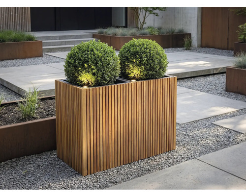 Rektangulär planteringslåda av träribbor med två runda buxbomsklot och integrerad belysning i en modern trädgård med grus.