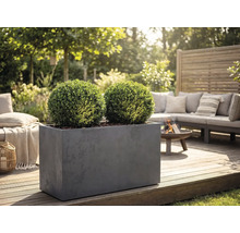 Rektangulär grå planteringslåda med två klotformade buxbomar på en trätrall i en trädgårdslounge med eldstad och soffa.