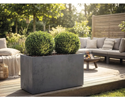 Rektangulär grå planteringslåda med två klotformade buxbomar på en trätrall i en trädgårdslounge med eldstad och soffa.