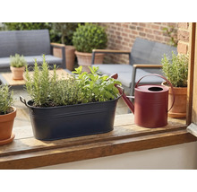 Mörkblå metallkruka med örter och en röd vattenkanna på en träavsats på en ljus terrass.