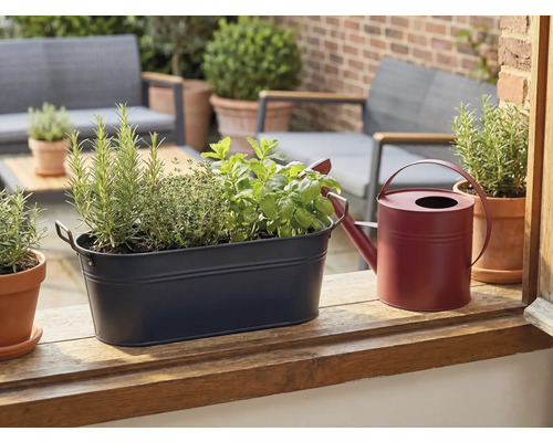 Mörkblå metallkruka med örter och en röd vattenkanna på en träavsats på en ljus terrass.
