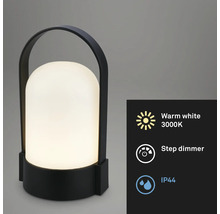 Bärbar utomhuslampa med handtag, varmvitt ljus 3000 Kelvin, stegvis dimmer och skyddsklass IP44.