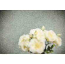 Non-woven tapet med fin textur i linneoptik och suddiga blommor i förgrunden.