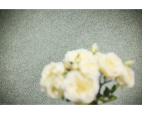 Non-woven tapet med fin textur i linneoptik och suddiga blommor i förgrunden.