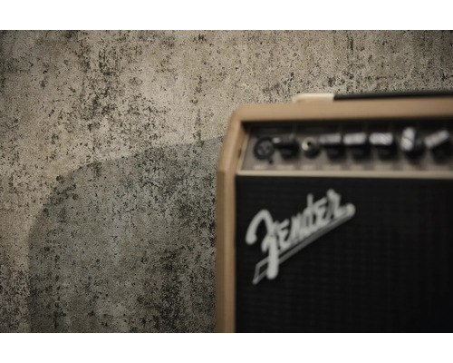 Fender Logo på en gitarrförstärkare framför en vägg med betongstruktur.