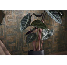Strukturerad tapet med ett abstrakt geometriskt mönster bakom en Alocasia krukväxt.