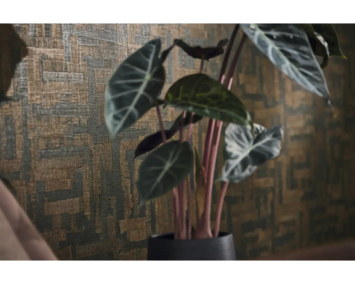 Strukturerad tapet med ett abstrakt geometriskt mönster bakom en Alocasia krukväxt.