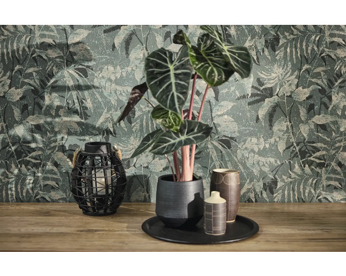 Non-woven tapet med djungelmotiv och vintagestruktur bakom en Alocasia-växt i keramikpruka och en gallerlykta på träyta.