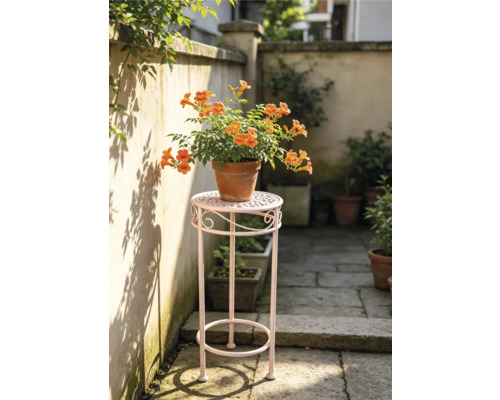 Hög växtpall i metall med en blommande trumpetranka i en lerkruka på en ljus uteplats.