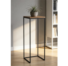 Modernt växtställ med svart metallram och träskiva, med en krukväxt i ett ljust rum med bokhylla.