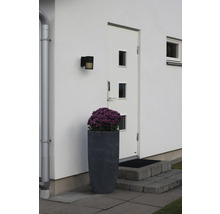 Husentré med vit fasad, vit ytterdörr, svart utomhusbelysning och stor blomkruka med lila blommor.