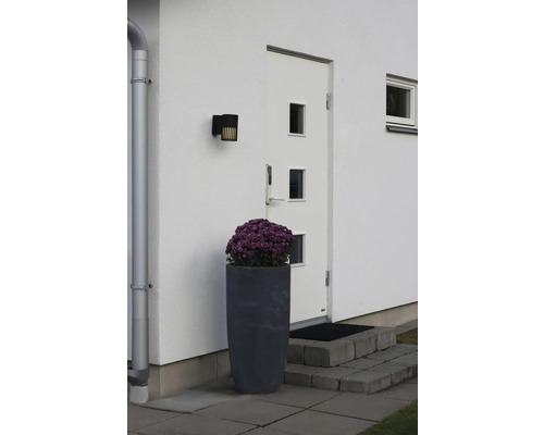 Husentré med vit fasad, vit ytterdörr, svart utomhusbelysning och stor blomkruka med lila blommor.