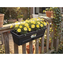 Mörk balkonglåda från Elho med gula blommor på ett träräcke i en trädgård. Elho Logo.