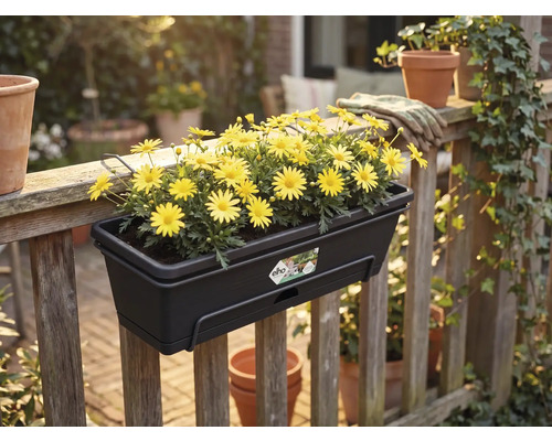 Mörk balkonglåda från Elho med gula blommor på ett träräcke i en trädgård. Elho Logo.