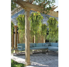 Uteplats med träpergola, hängande ormbunkar, blårandig markis och en ljusblå hörnsoffa på stenlagt golv.