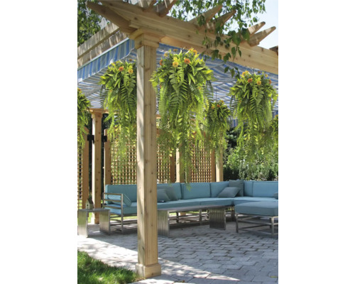Uteplats med träpergola, hängande ormbunkar, blårandig markis och en ljusblå hörnsoffa på stenlagt golv.