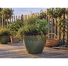 Örter som rosmarin och basilika i en glaserad keramikruka med mönster på en ljus träterrass framför ett spjälstaket.