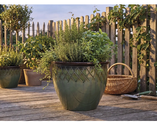 Örter som rosmarin och basilika i en glaserad keramikruka med mönster på en ljus träterrass framför ett spjälstaket.