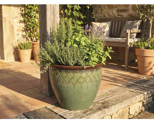 Keramikruka med rutmönster, planterad med örter och lavendel, placerad på en ljus terrass bredvid en träbänk.