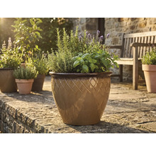 Glaserad keramik kruka med rutmönster, planterad med örter och lavendel på en solig stenterrass.