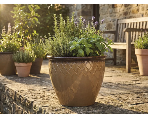 Glaserad keramik kruka med rutmönster, planterad med örter och lavendel på en solig stenterrass.