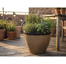 Glaserad keramikruka med rutmönster på en träaltan, planterad med rosmarin, timjan, basilika, salvia och mynta.