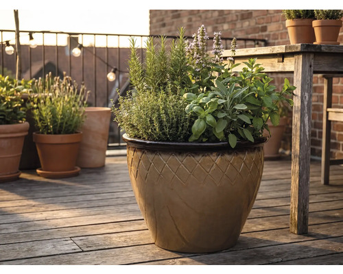 Glaserad keramikruka med rutmönster på en träaltan, planterad med rosmarin, timjan, basilika, salvia och mynta.