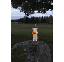 LED akrylfigur mus med häxhatt och pumpa på en mossig sten utomhus.