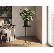 Högt minimalistiskt blombord i svart metall i ett ljust vardagsrum med en Calathea-växt och en fåtölj i trä.