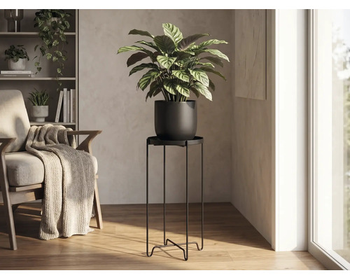 Högt minimalistiskt blombord i svart metall i ett ljust vardagsrum med en Calathea-växt och en fåtölj i trä.