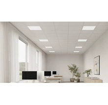 Ljust kontorsrum med akustiskt undertak, integrerade rektangulära LED-paneler och arbetsplatser.