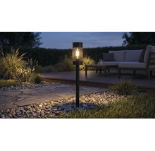Solcellsdriven trädgårdsbelysning med LED-lampa och nätmönster som belyser en trädgårdsgång på natten bredvid en loungegrupp.