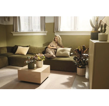Ljust vardagsrum med olivgrön soffa, kvinna med en kopp, beige soffbord och olika krukväxter i en naturlig stil.