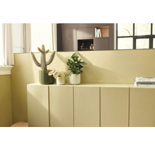 Modern vardagsrumsmiljö med en låg sideboard och matchande väggfärg, dekorerad med krukväxter inklusive en kaktus.